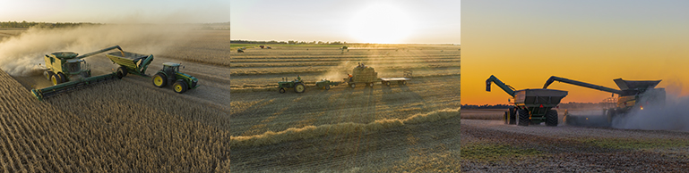 Harvest Time
