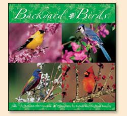 Backyard Birds Calendar Cover