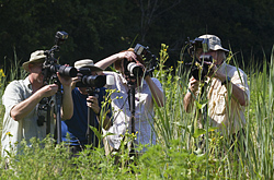 Photographers at Daybreak Sanctuary