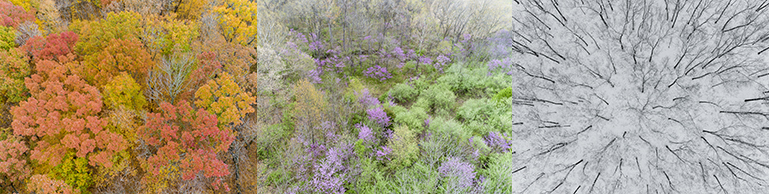 Seasons from the Air

